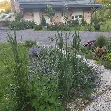 Gite Des Viviers -08400 Manre - De 1 A 2 Personnes Exterior photo